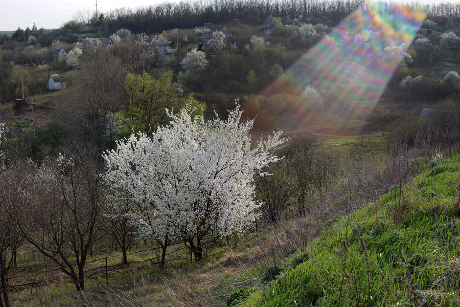 Весна в белгороде картинки